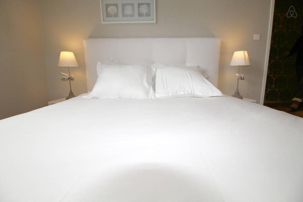 Appartements En Hyper Centre - Jardin Public 보르도 외부 사진